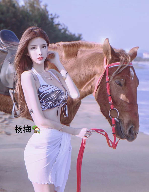 首尔商务伴游招聘